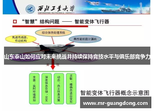 山东泰山如何应对未来挑战并持续保持竞技水平与俱乐部竞争力